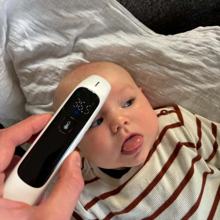 pandetermometer bedst i test